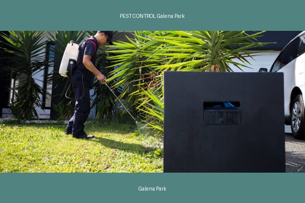 PEST CONTROL Galena Park
